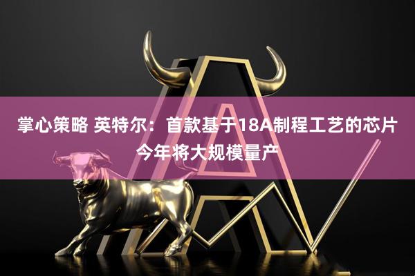 掌心策略 英特尔：首款基于18A制程工艺的芯片今年将大规模量产