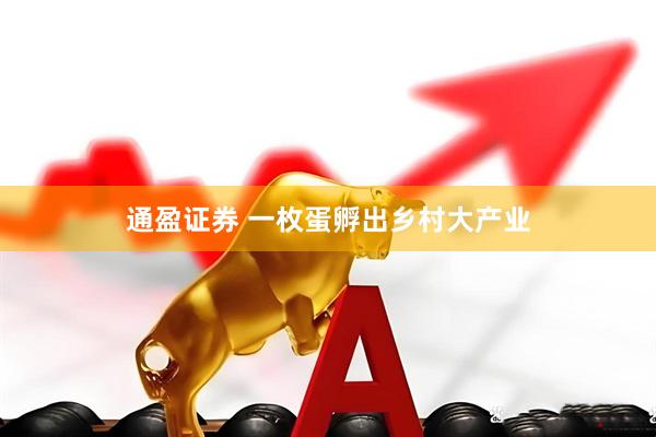通盈证券 一枚蛋孵出乡村大产业