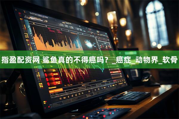 指盈配资网 鲨鱼真的不得癌吗？_癌症_动物界_软骨