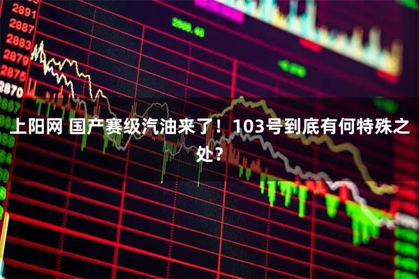 上阳网 国产赛级汽油来了！103号到底有何特殊之处？