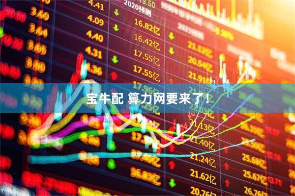 宝牛配 算力网要来了！